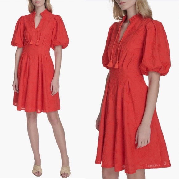 Eliza J Dresses & Skirts - NWT Eliza J Floral Embroidered Puff Sleeve Cotton Fit & Flare Dress Sz 14